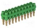 Socket strip; Connector: 2mm banana; green; 70VDC; 10A; 33VAC; 6mm