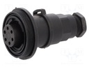 Connector: circular; plug; female; PIN: 6; 5A; 277V; IP68,IP69K