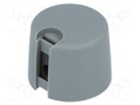 Knob; with pointer; plastic; Shaft d: 6.35mm; Ø20x16mm; grey
