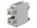 Splice terminal: rail; grey; screw terminal; polyamide; TS32,TS35