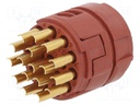 Connector: M23; PIN: 17; soldering,crimped; 50V; 7A; Series: EPIC