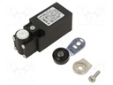 Limit switch