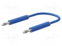 Test lead; 60VDC; 30VAC; 19A; banana plug 4mm,both sides; Len: 2m