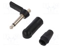 "R/A 1/4"" 2POLE PLUG"