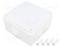Enclosure: junction box; X: 100mm; Y: 100mm; Z: 50mm; IP65; white