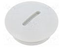 Stopper; PG16; IP56; Mat: polyamide; Body: light grey; Thread: PG