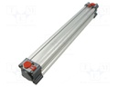 Profile cylinder; Piston diam: 16mm; Piston stroke: 300mm
