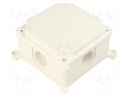 Enclosure: junction box; X: 103mm; Y: 103mm; Z: 60mm; wall mount