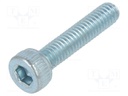 Screw; M2,5x12; DIN: 912; Head: cheese head; imbus; steel; zinc
