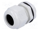 Cable gland; with long thread; M25; IP68; Mat: polyamide; grey