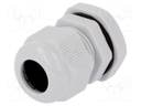 Cable gland; PG13,5; IP67; Mat: polyamide; grey