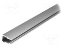 Profiles for LED modules; edge; natural; L: 1m; aluminium