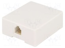 Socket; RJ12; Layout: 6p6c; surface-mounted,screw,self-adhesive