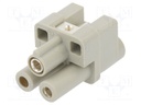 Han Q 2/0-bu 4-10 mm?