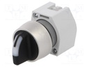 Switch: rotary; Stabl.pos: 2; 22mm; yellow/black; IP65; Pos: 2