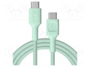 Cable; USB C plug,both sides; 2m; green; 480bps; textile; 100W