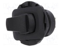 Switch: toggle; Pos: 2; DPDT; ON-ON; 6A/250VAC; Leads: for soldering