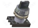 Switch: rotary; Stabl.pos: 2; 22mm; blue; IP55; 70000cycles; Pos: 2