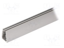 Profiles for LED modules; edge; natural; L: 2m; aluminium