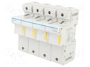 Fuse disconnector; 22x58mm; DIN; 125A; 690V; Poles: 4; -5÷40°C; IP20