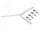 NEON LED tape; white warm; 24V; LED/m: 120; 8mm; IP65; 6W/m