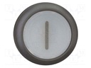 Switch: push-button; Stabl.pos: 2; 22mm; white; IP67; Pos: 2; Ø22.5mm
