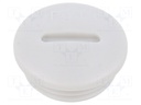 Stopper; PG11; IP56; Mat: polyamide; Body: light grey; Thread: PG