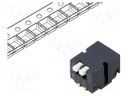 DIP / SIP Switch, 2 Circuits, Piano Key, Surface Mount, SPST, 6 V, 100 mA