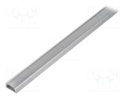 Profiles for LED modules; transparent; surface; L: 1m; aluminium