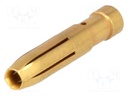 Contact; female; 4mm2; 12AWG; Han E HMC; gold-plated; crimped; 16A