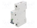 Circuit Breaker, MCB, 5SL4, 1P, 10 kA, 400 V, 25 A
