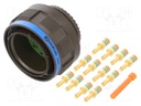 Connector: circular; D38999 series III; plug; male; PIN: 11; 23A