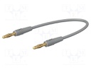Test lead; 60VDC; 30VAC; 10A; 2mm banana plug-2mm banana plug