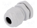 Cable gland; PG11; IP67; Mat: polyamide; grey