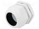 Cable gland; PG42; IP67; Mat: polyamide; grey
