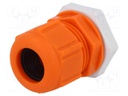 Cable gland; M25; IP68; Mat: polyamide; orange