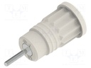 Connector: 4mm banana; socket; 36A; white; nickel plated; 35mm