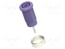 Connector: 4mm banana; socket; violet; nickel plated; insulated