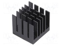 Heatsink: extruded; grilled; black; L: 21mm; W: 21mm; H: 19.5mm