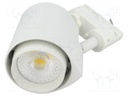 Lamp: LED lighting fixture; 4000(typ)K; IP44; Body: white; Ø: 111mm
