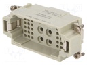 Connector: HDC; contact insert; male; C146,heavy|mate K; 42+PE