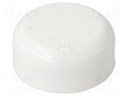 Cover; white