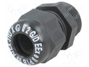 Cable gland; with thread PG; PG13,5; IP68; Mat: polyamide; black