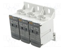 Splice terminal: distribution block; DBL; ways: 3; terminals: 24