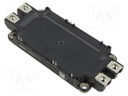 Module: IGBT