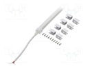 NEON LED tape; white cold; 24V; LED/m: 120; 6mm; IP65; 8W/m