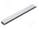 Profiles for LED modules; edge; natural; L: 1m; aluminium