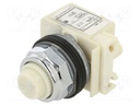 Incandescent Lamp, BA9s, 30 mm, 120 VAC, Round, Harmony Series