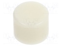 Cap; Man.series: AB,BB; Colour: white