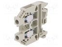 Splice terminal: rail; 6mm2; ways: 1; terminals: 2; grey; Width: 8mm
